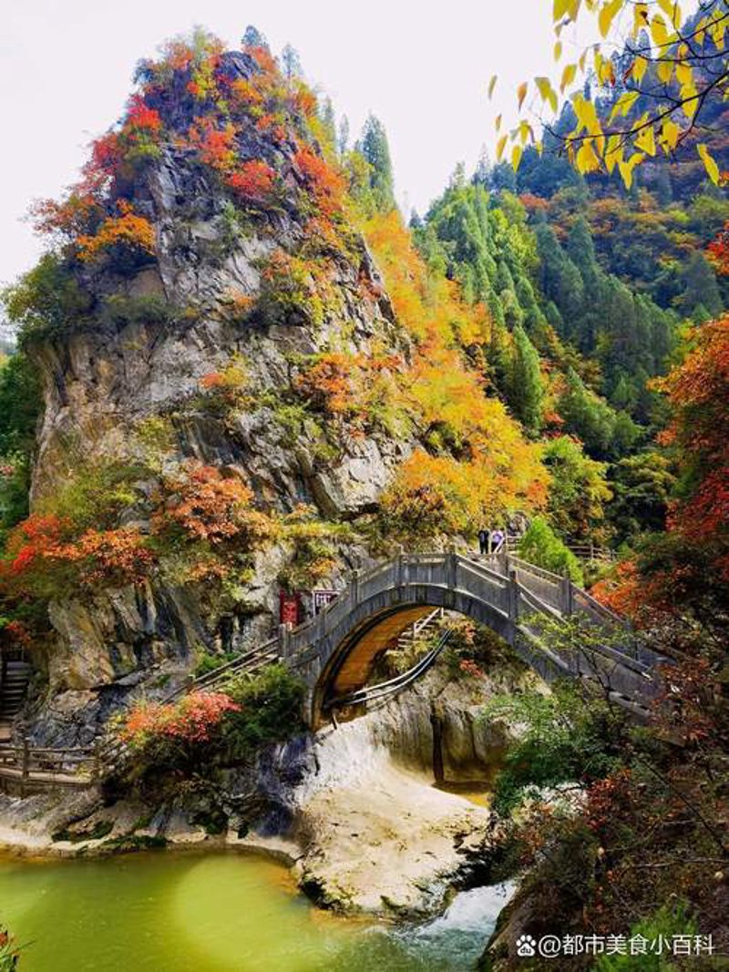 如何开启武都之旅：一份详尽的旅游攻略